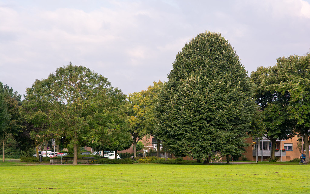 Park Ingold Janssen Flickr