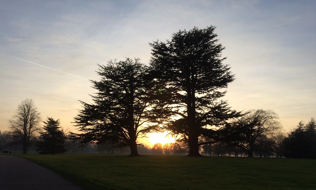 Elevation of Lytton Way, Stevenage SG1, UK Topographic Map Altitude Map