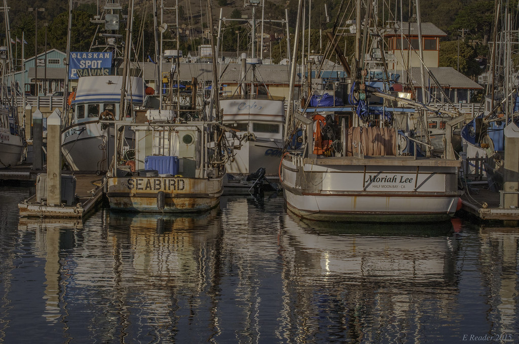 The Harbor at PrincetonbytheSea PrincetonbytheSea is… Flickr