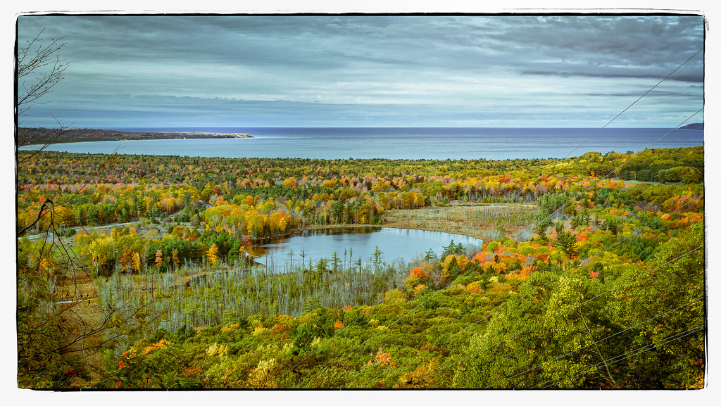 Elevation of S Tower Rd, Maple City, MI, USA Topographic Map