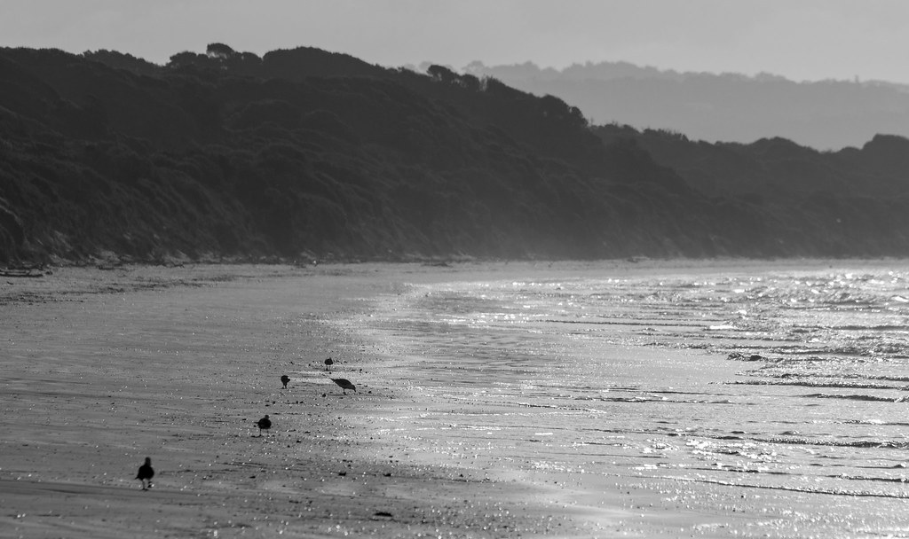 Bakers Beach, Tasmania Steven Penton Flickr
