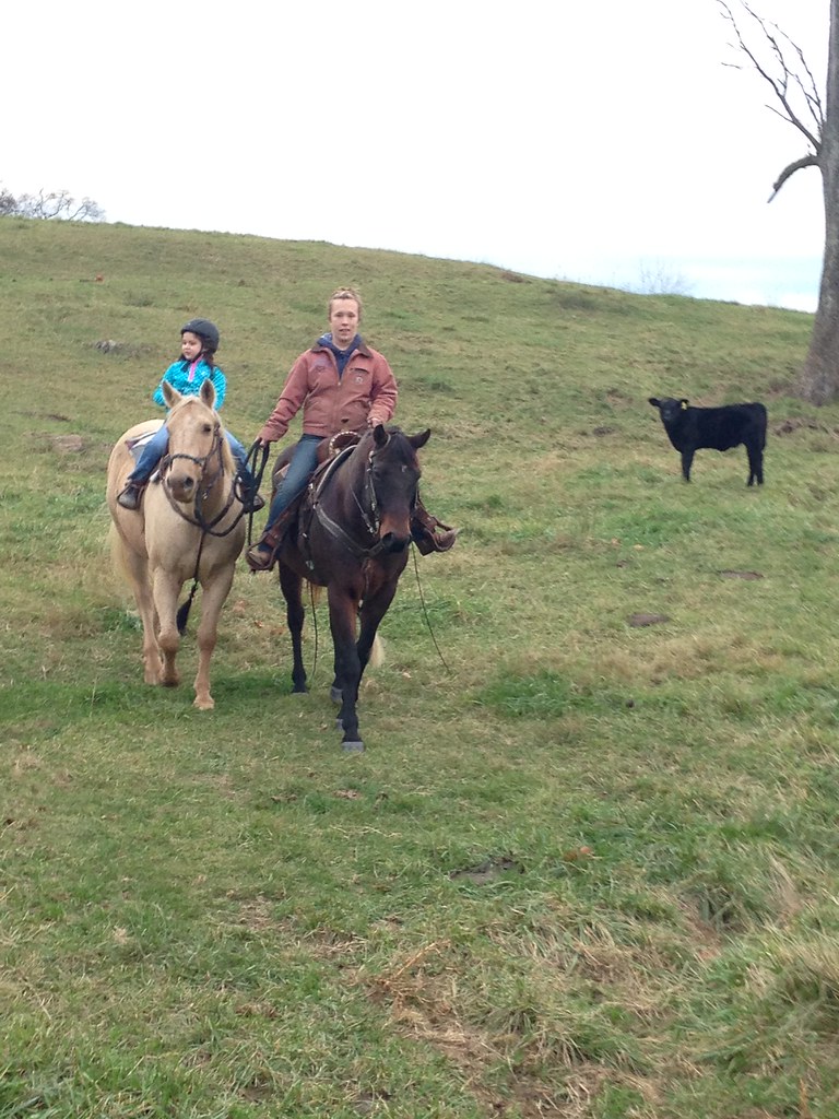 Wagon Wheel Ranch megancstick Flickr