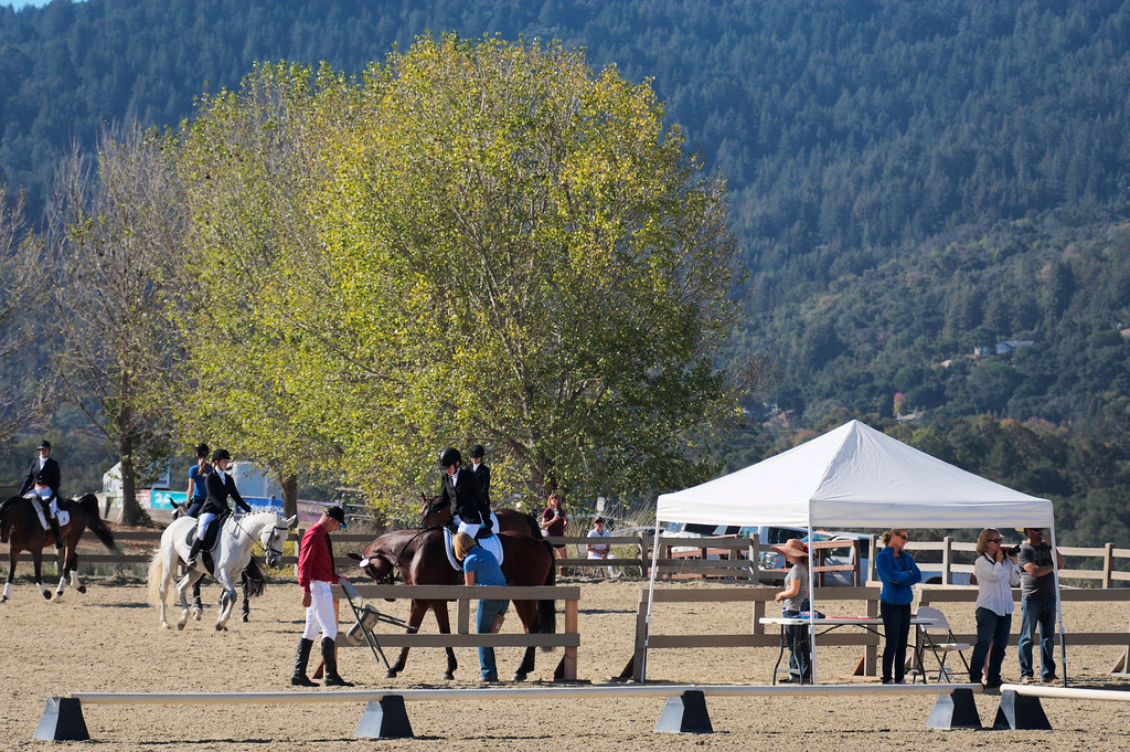 The first day at Woodside October 2, 2015, The Horse Park … Flickr