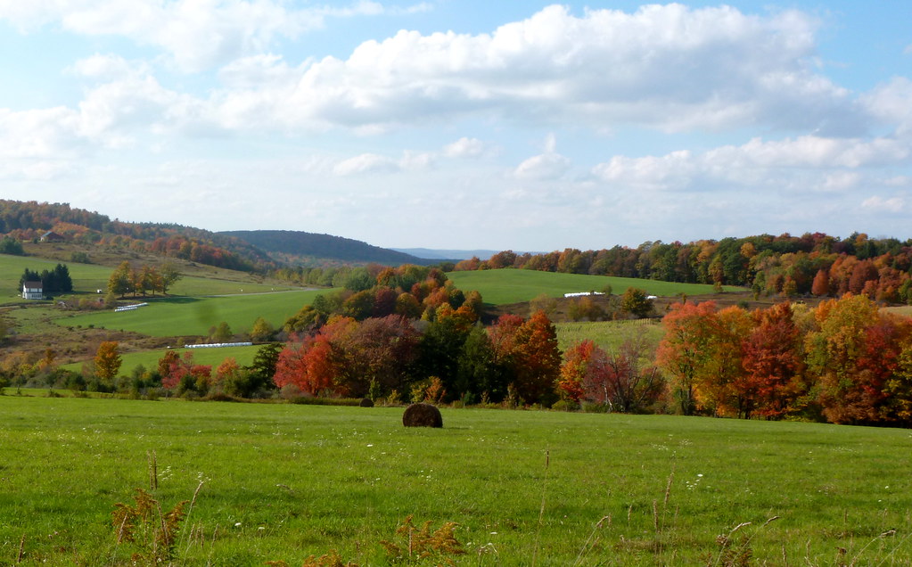 The lay of the land Delaware County, NY Rolling hills and… Flickr