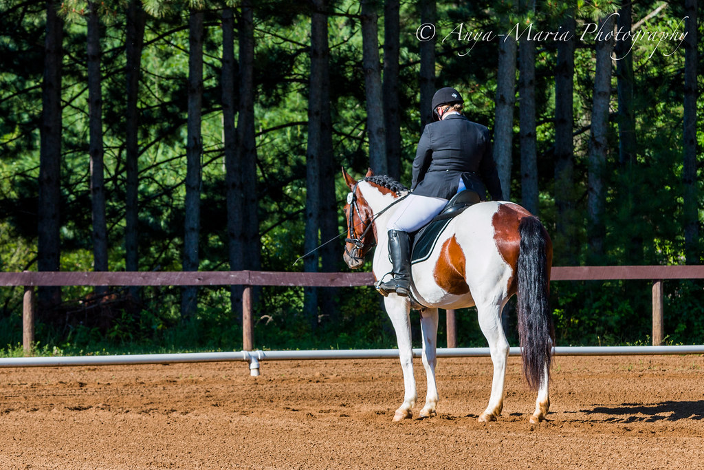 Otter Creek Dressage anyaotterson Flickr