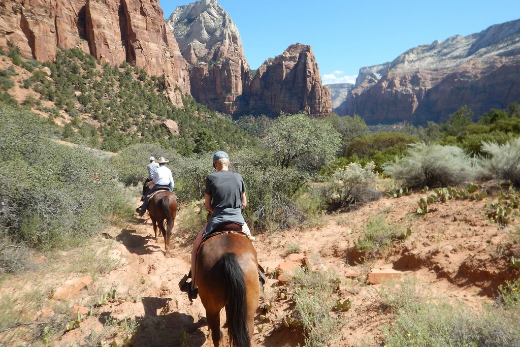 1508 Zion horseback riding Monique Jansenvanbentum Flickr