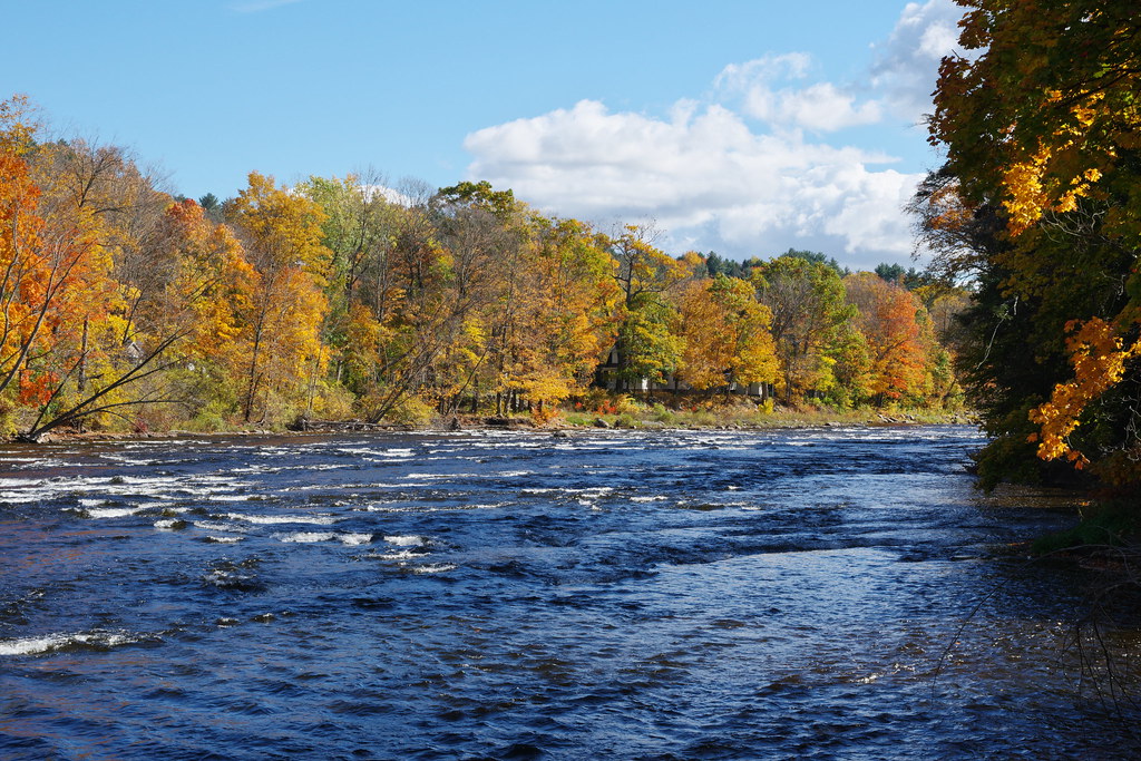 Elevation of Dairy Hill Rd, Newport, NY, USA Topographic Map