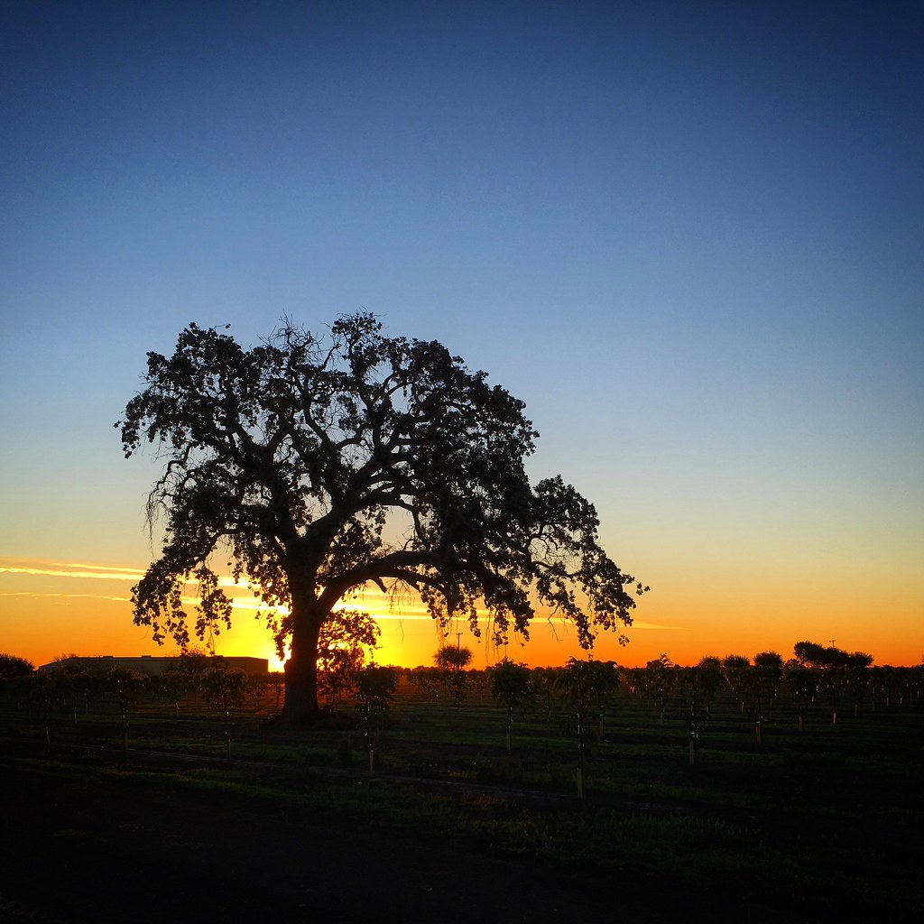 Elevation of N Hewitt Rd, Linden, CA, USA Topographic Map Altitude Map