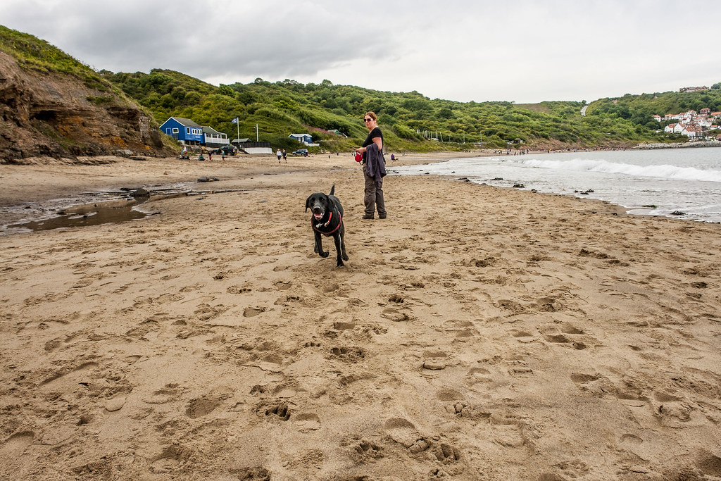 Whitby_18 Walk from Whitby to Runswick Bay via Sandsend al… Flickr