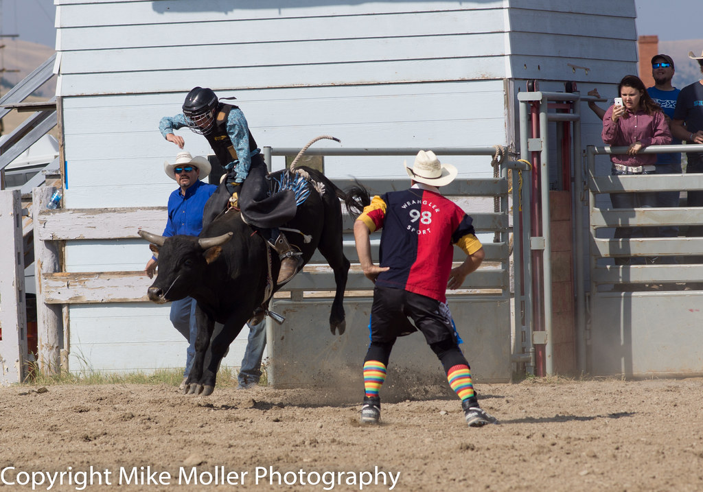 DSC09354 20150830 Boulder Rodeo, Mt mdmwrx Flickr