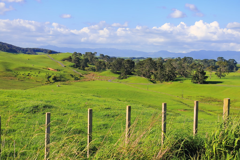 Hobbiton Movie Set Farm Buckland Road Matamata . NZ. Flickr