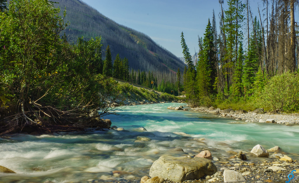 Camping at Kootenay National Park Find reservations at Kootenay