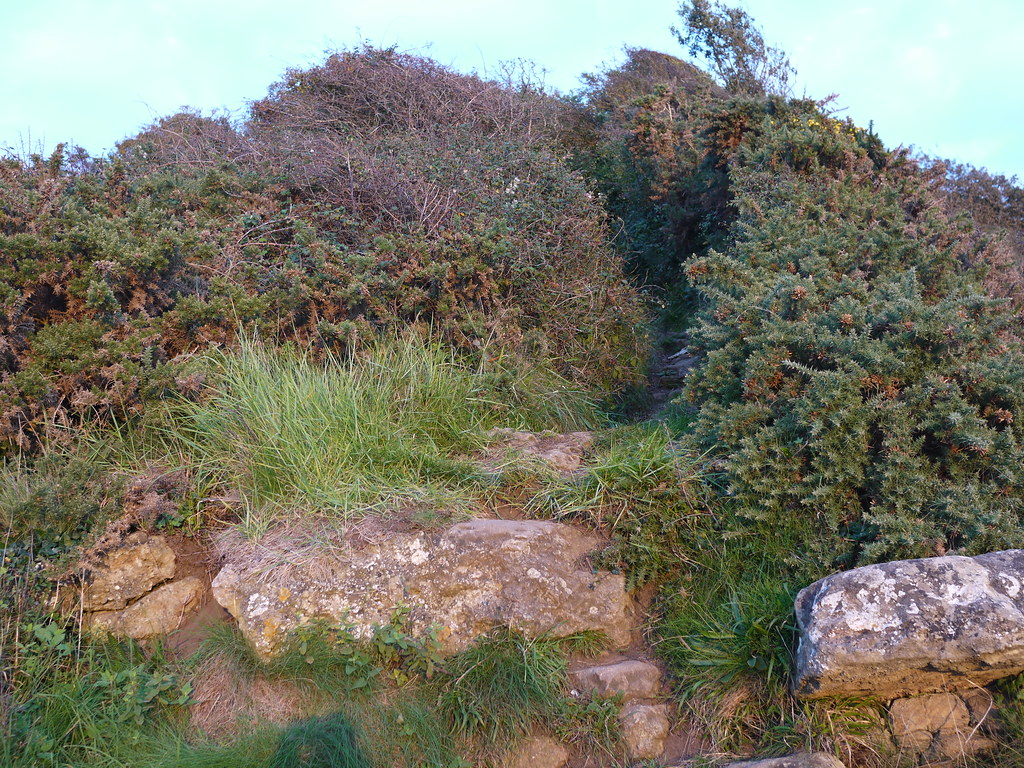 Ladye Bay, Clevedon The route back to the clifftop path. John