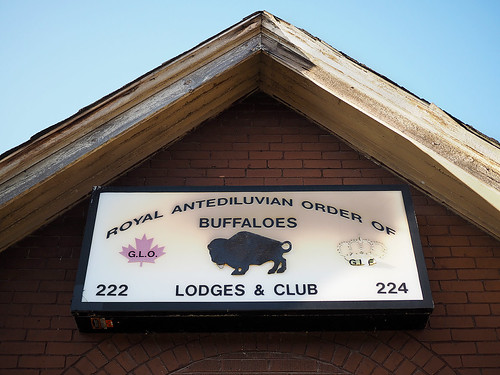 Royal Antediluvian Order of Buffaloes This peculiar little… Flickr