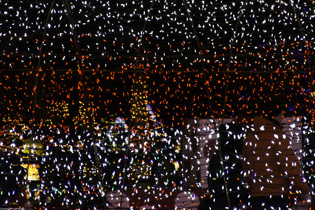 Christmas lights at Warm Beach wacamerabuff Flickr