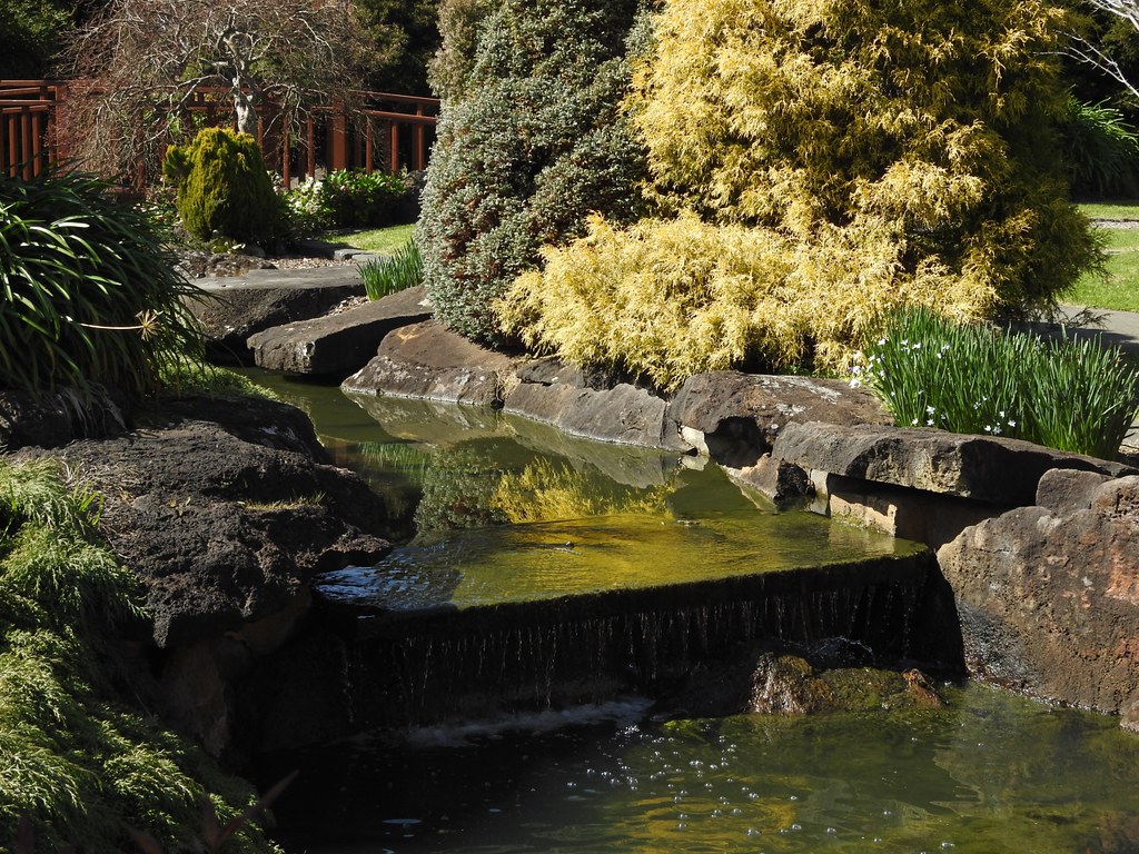 Japanese Garden Springvale Botanical Cemetery The Springva… Flickr