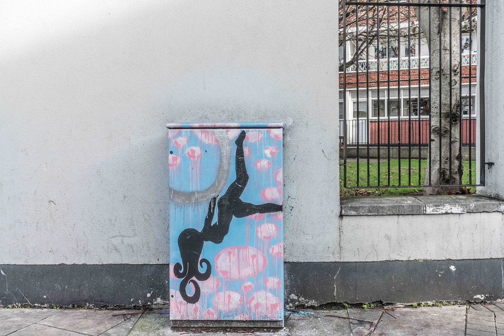 EVE WOODS DUBLIN CANVAS PAINT A BOX PROJECT [KING STREET N… Flickr