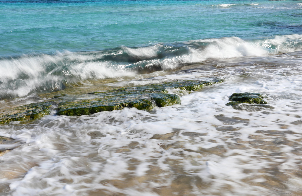 Fig tree bay (3) Fig tree bay . At the southern end of the… Flickr