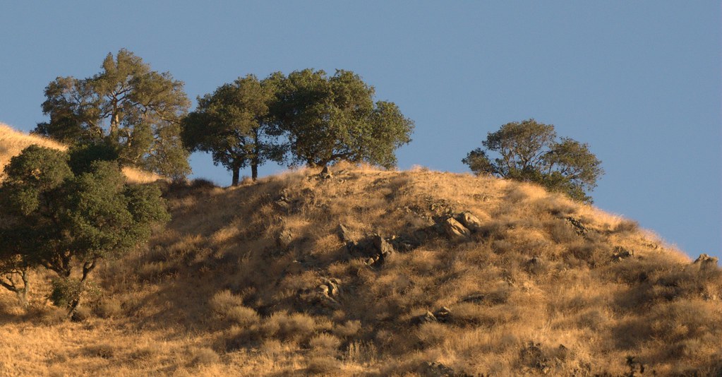 Niles Canyon Stroll 10_15 Picture 63 Niles Canyon Stroll 1… Flickr