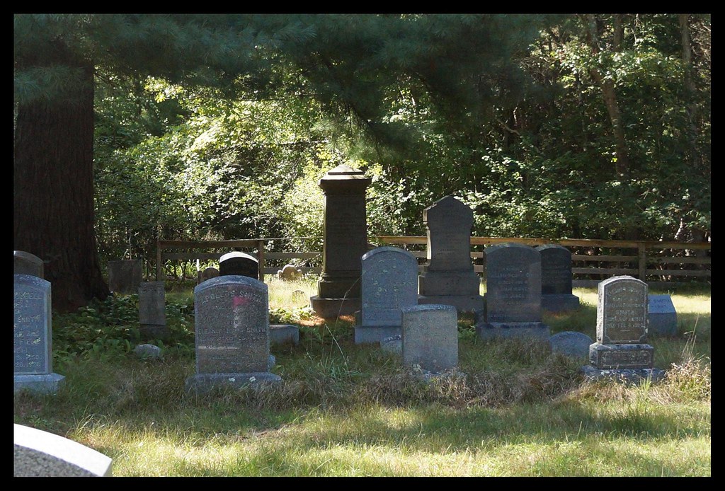 10623570_936028156423990_6107228192634913485_o linda zito Flickr