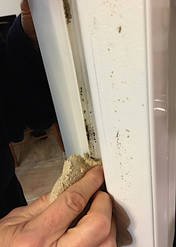 Cleaning the Gasket Just a little mold on the refrigerator… Flickr