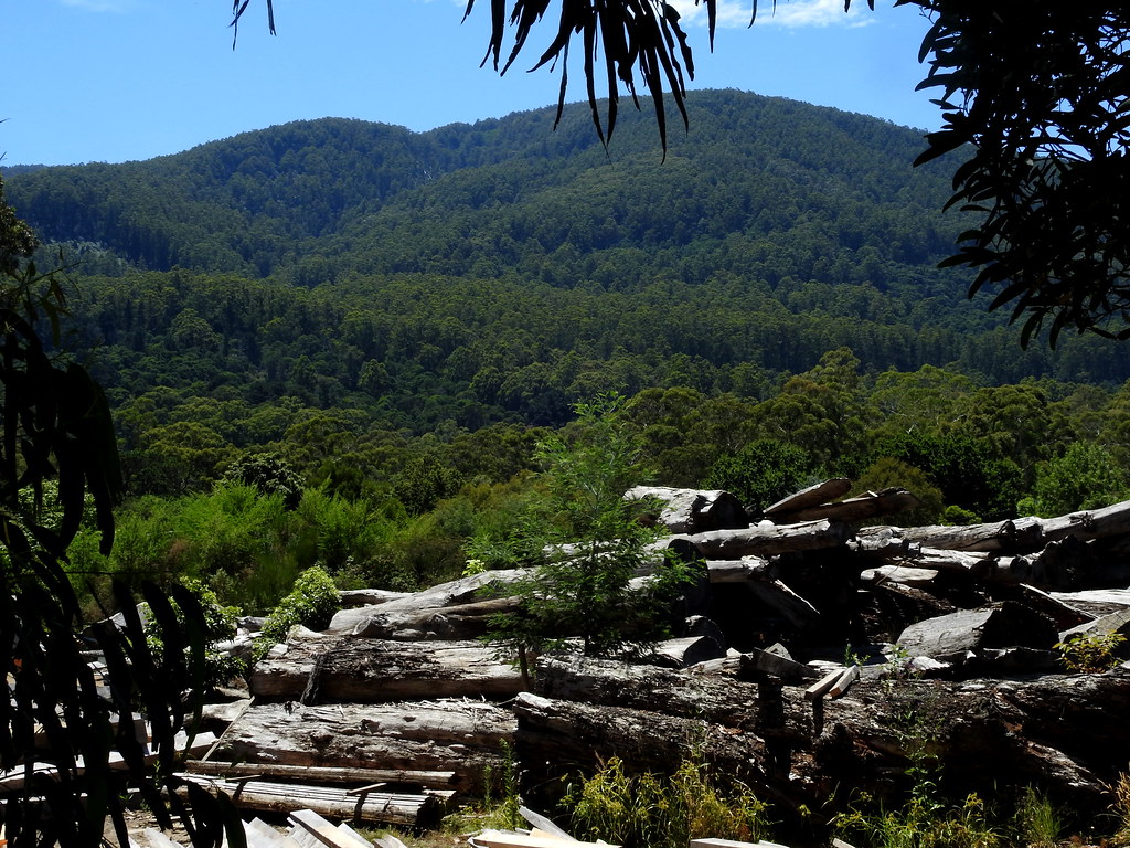 Millgrove Timber Mill Millgrove Timber Mill Flickr