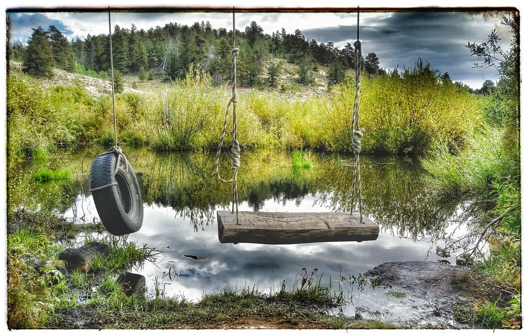 Beaver Meadows campground. This creek is full of Beaver po… Flickr