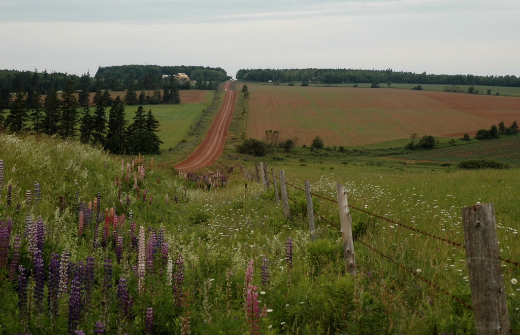 PEI Road Ben Flickr