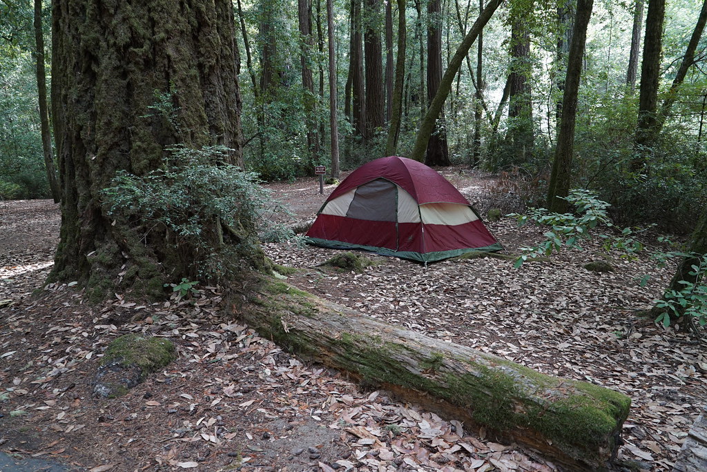 Big Basin Camping Flickr