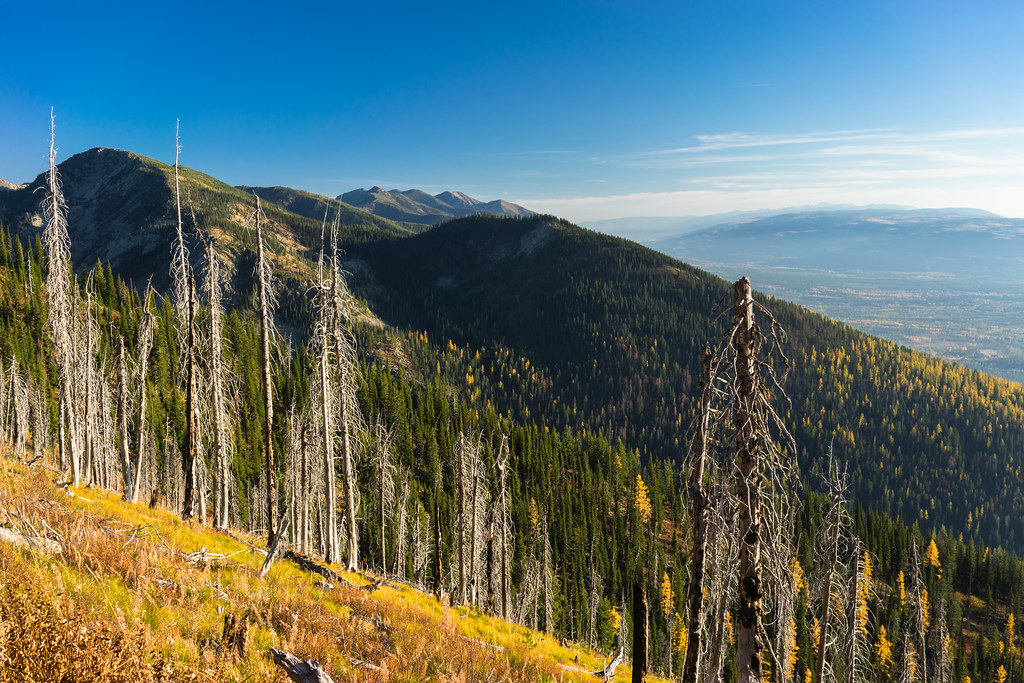 Swan Range from Birch Lake Trail Jewel Basin Hiking Area, … Flickr