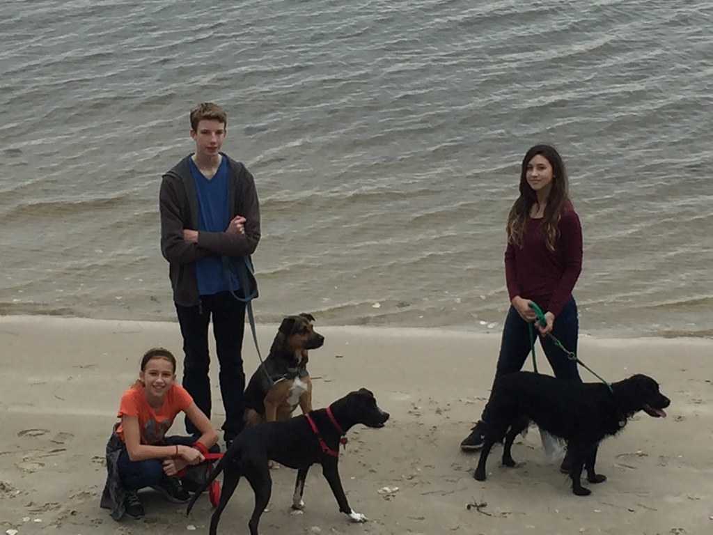 Walking the dogs Contest Entry First Landing State Park "W… Flickr