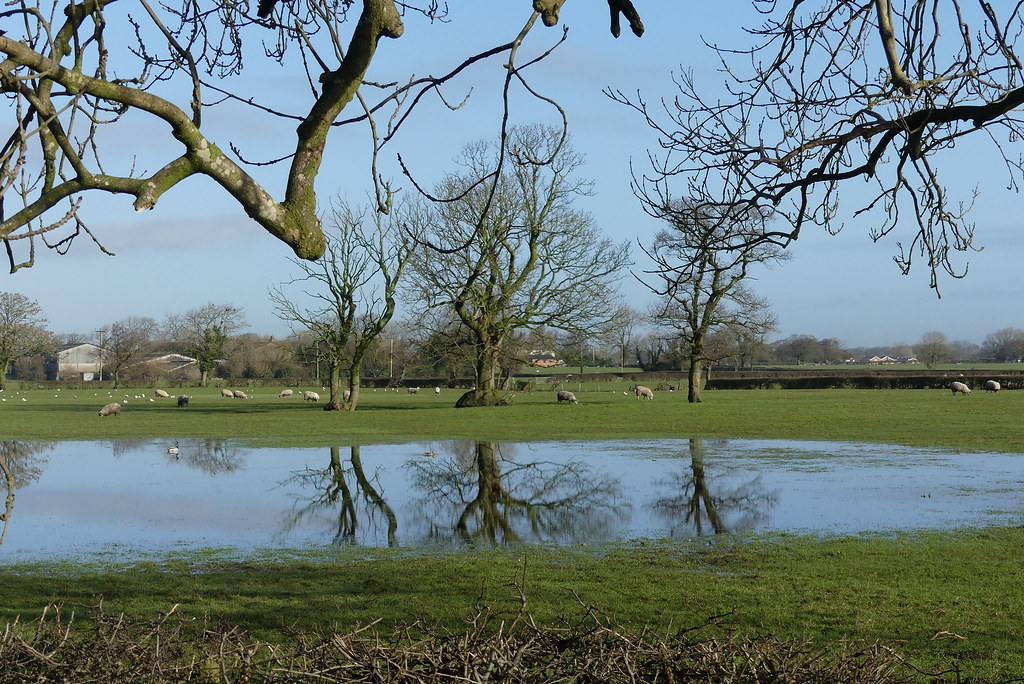 Gill Ln. Longton West Lancs Paul Damen Flickr