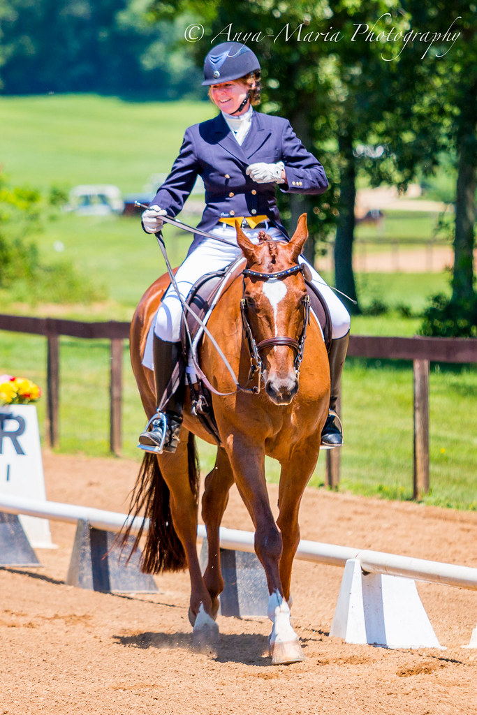Otter Creek Dressage anyaotterson Flickr