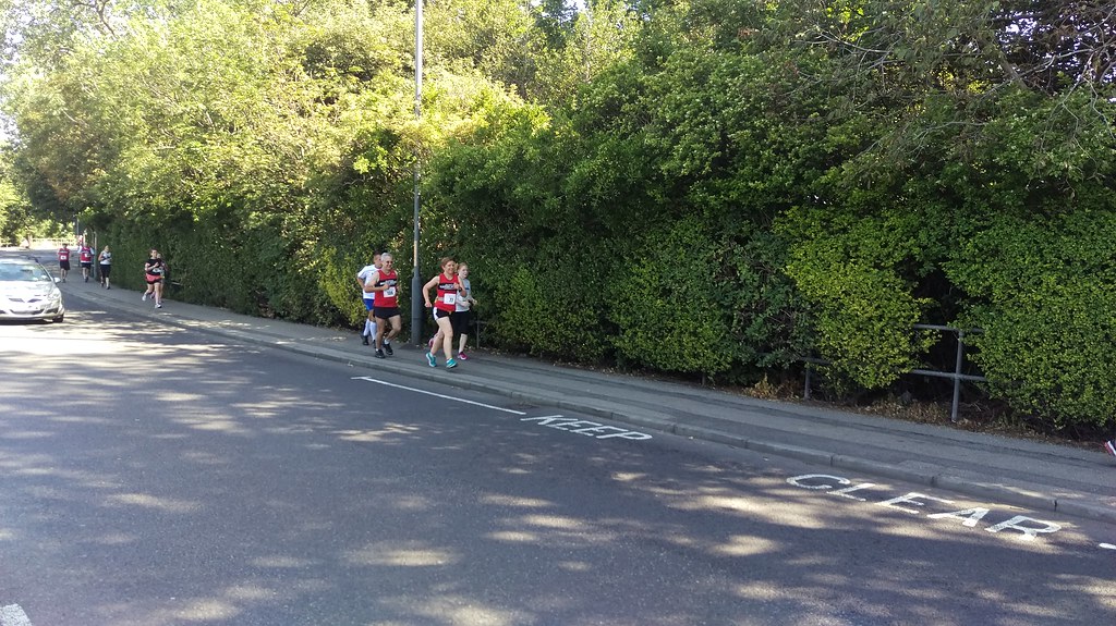 IMAG2407 Billingham Marsh House Harriers Flickr