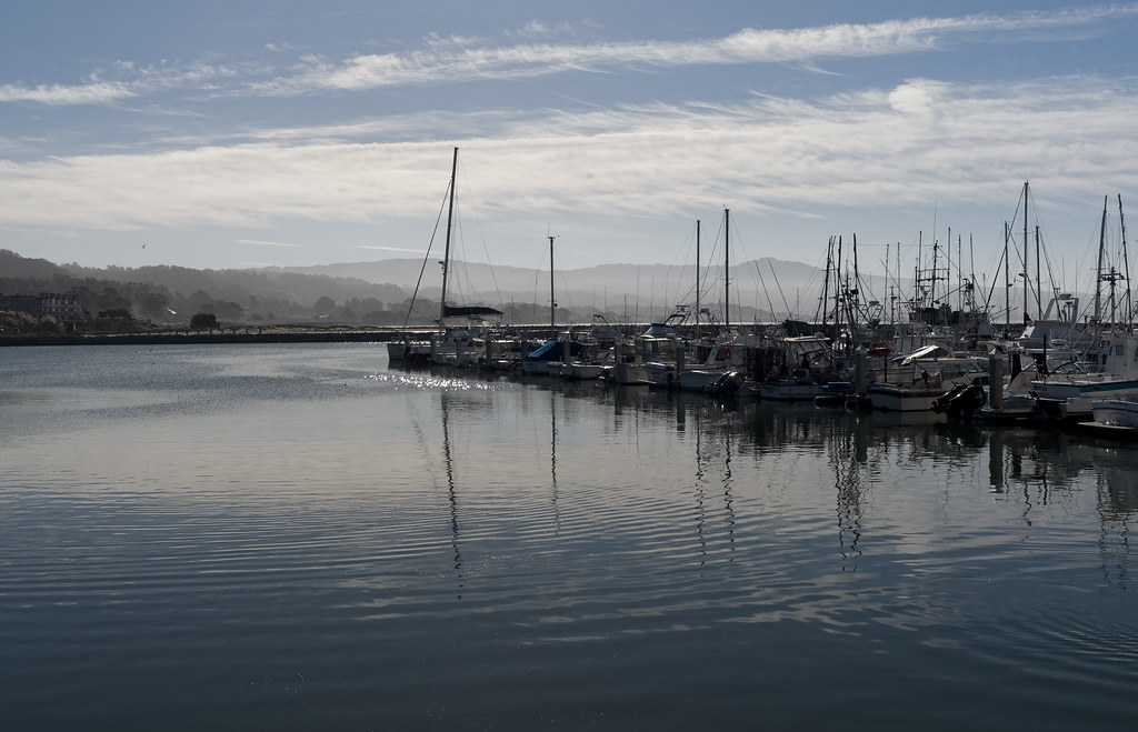 Friday 113 PrincetonbytheSea to Half Moon Bay Flickr