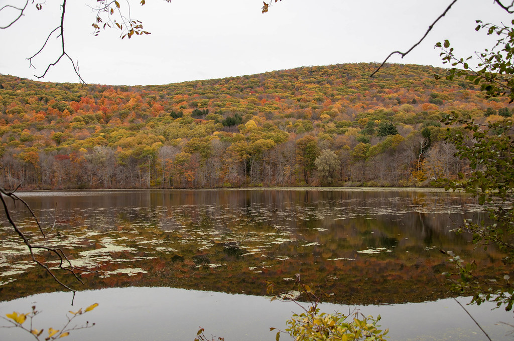 October Mountain State Forest, MA Scott Johnson Flickr