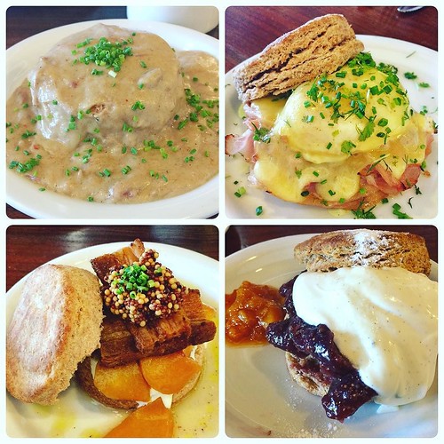 BISCUIT HEAVEN!! Organic wholegrain biscuits Biscuits an… Flickr