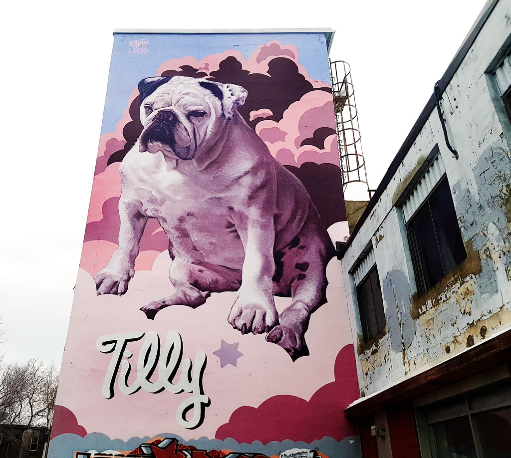 Tilly Dog Mural by Kevin Ledo "Tilly Dog" Mural by Kev… Flickr