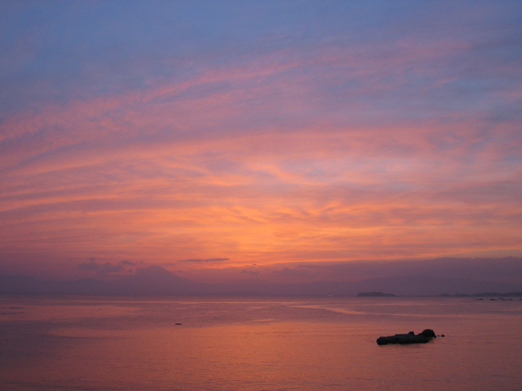 Orange day. Taken at Chozyagasaki, Hayamacho, Kanagawa Pr… Flickr