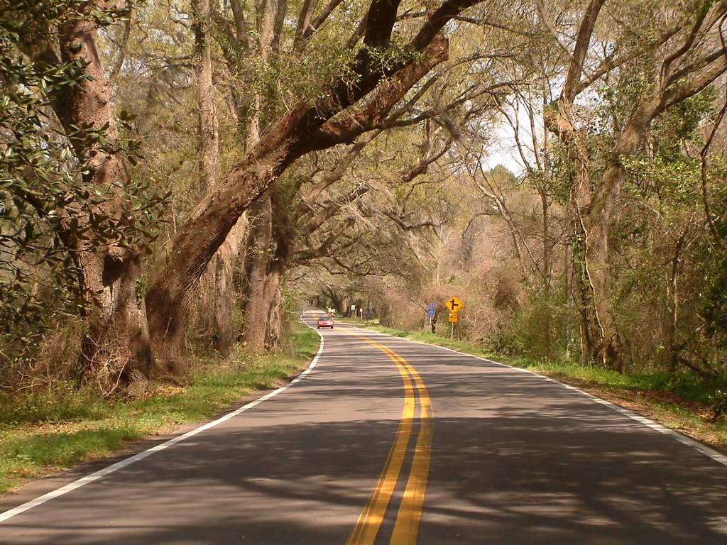 Miccosukee Road i enjoy the canopy roads of Tallahassee tangent