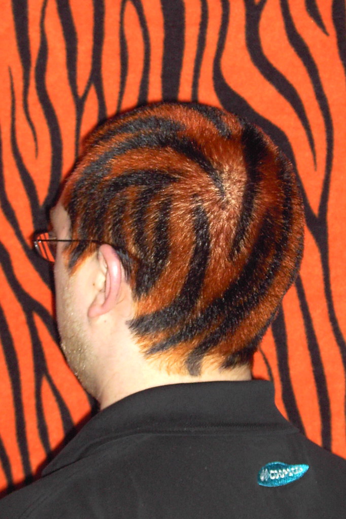 PICT0228.JPG Tiger haircut for release day april 29 2005, … Flickr