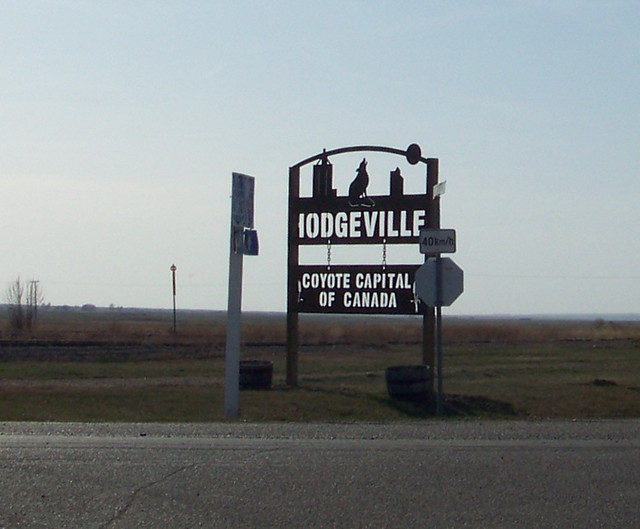 Flickriver Photoset 'Saskatchewan Central South 20102020' by CanadaGood