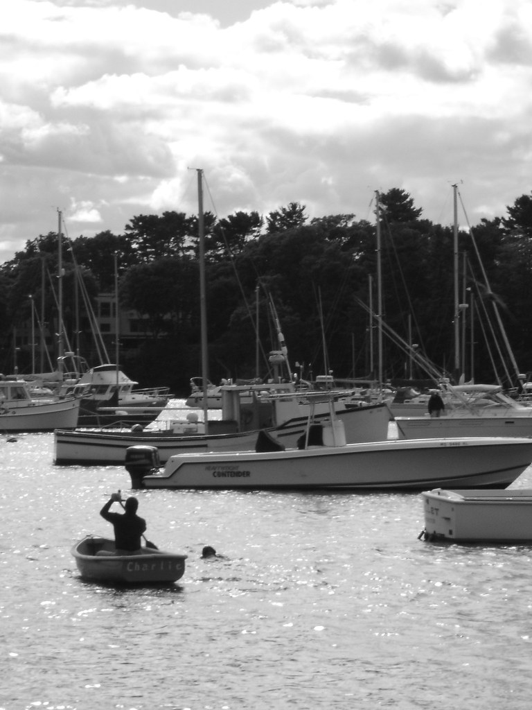 Bath Day for Bowzer 4 Charlies Family Flickr