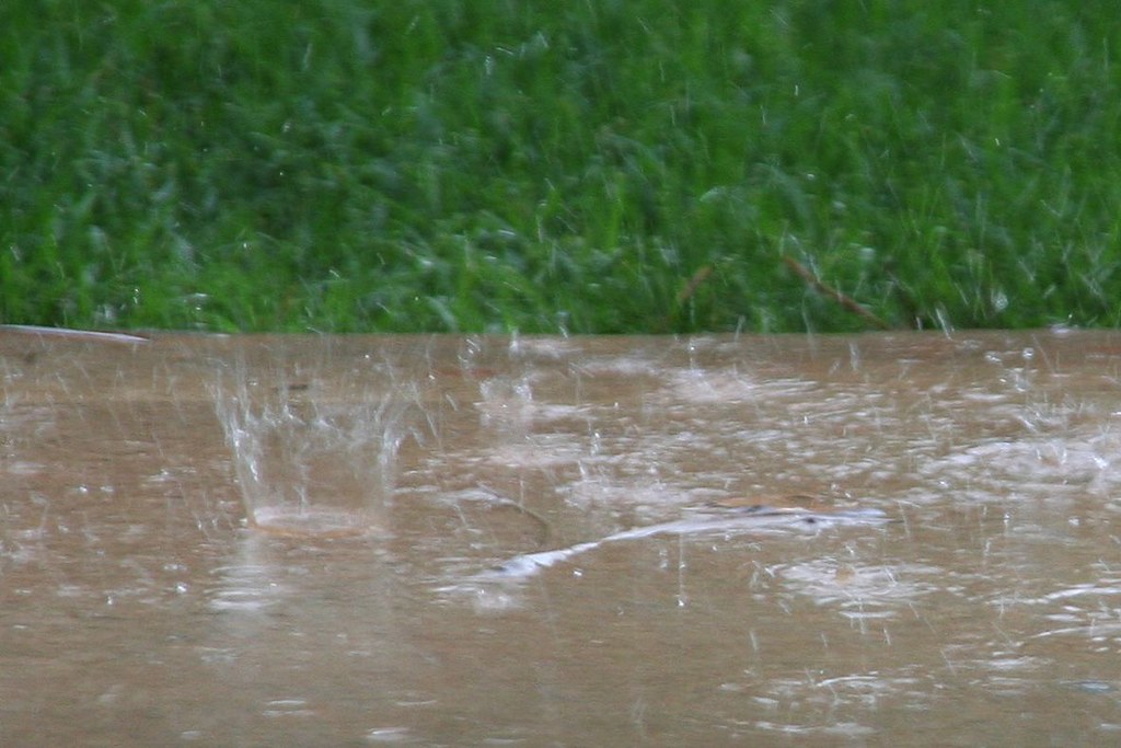 Rain Drops on Cement It rained today, yipee! (Can you tell… Flickr