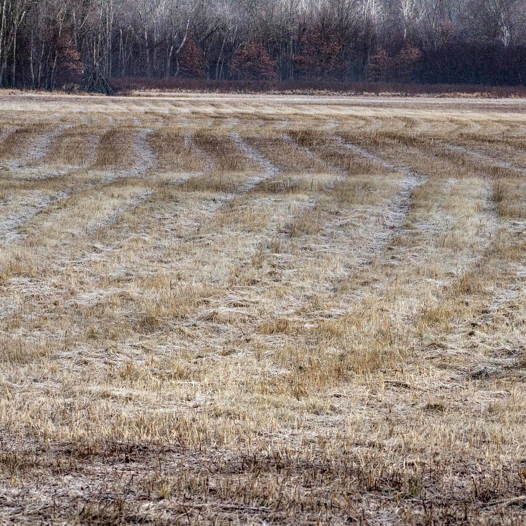 IMG_9169 Arcadia Old Springfield Road pnorman4345 Flickr