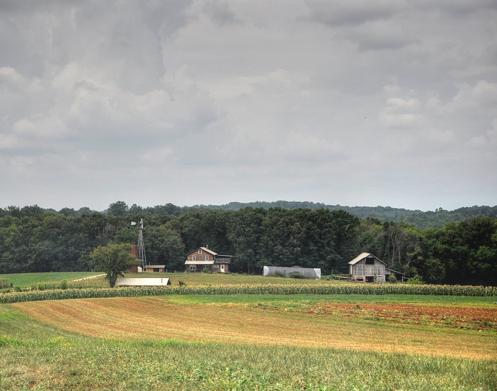 Large [2011] Delano Community Farm, Delano, TN. Kerri M. Flickr