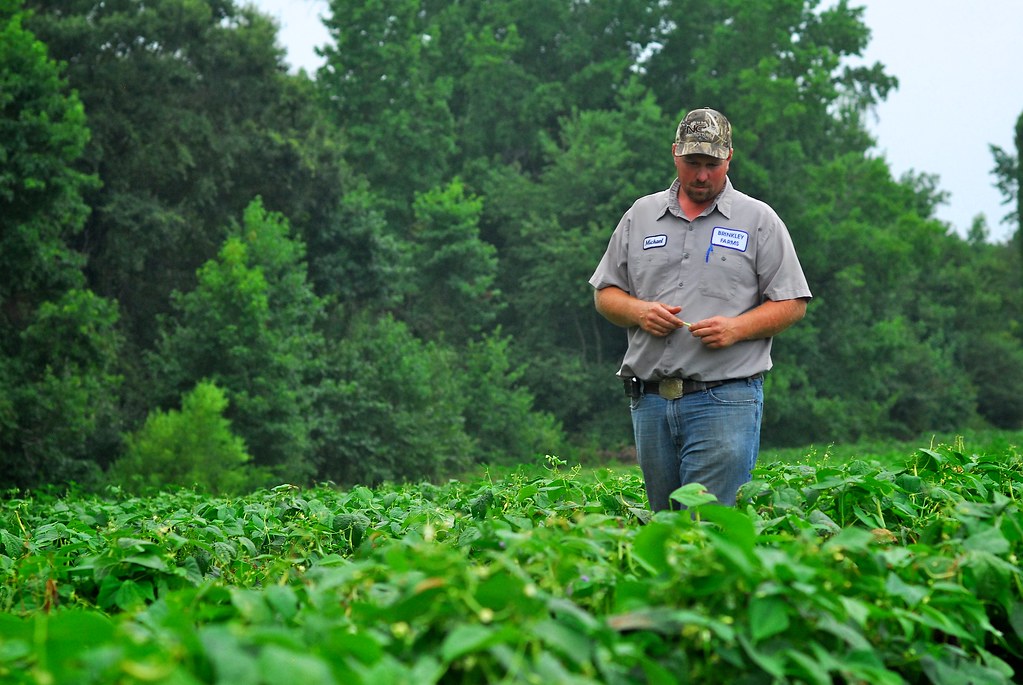 SFA_MichaelBrinkley_ 51426 Michael Brinkley farms vegetabl… Flickr