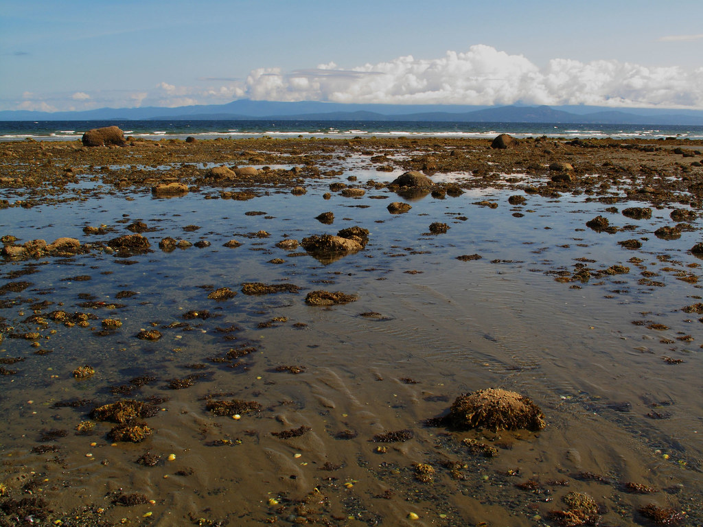 rocky patch on otherwise sandy beach near Qualicum below E… Flickr