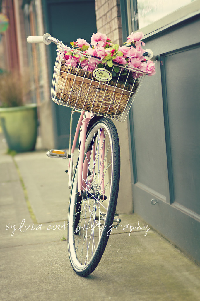 vintage pink bike vintage pink bike with basket of flowers… Sylvia