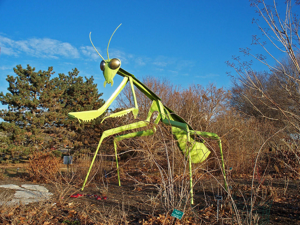 OH Columbus Praying Mantis Praying mantis sculpture in C… Flickr